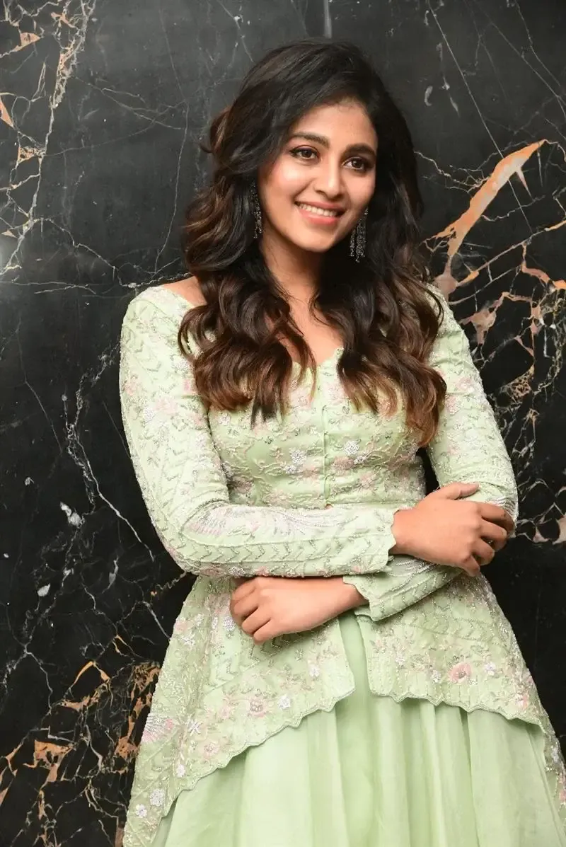 South Indian Actress Anjali Stills in Traditional Light Green Dress